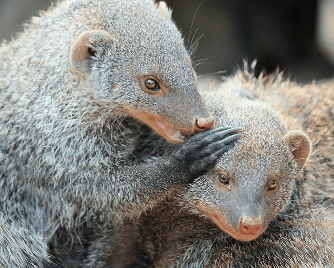 Whispering about money problems