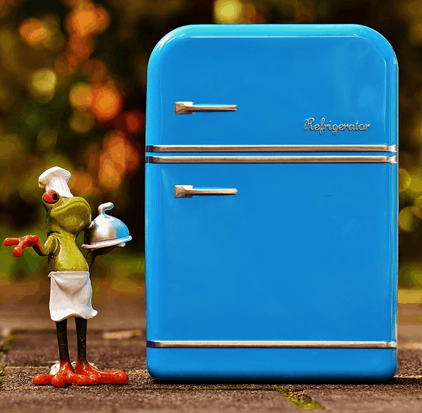 A refrigerator purchased with a loan.