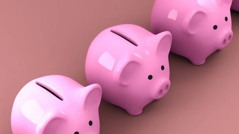 Piggy banks used for saving.